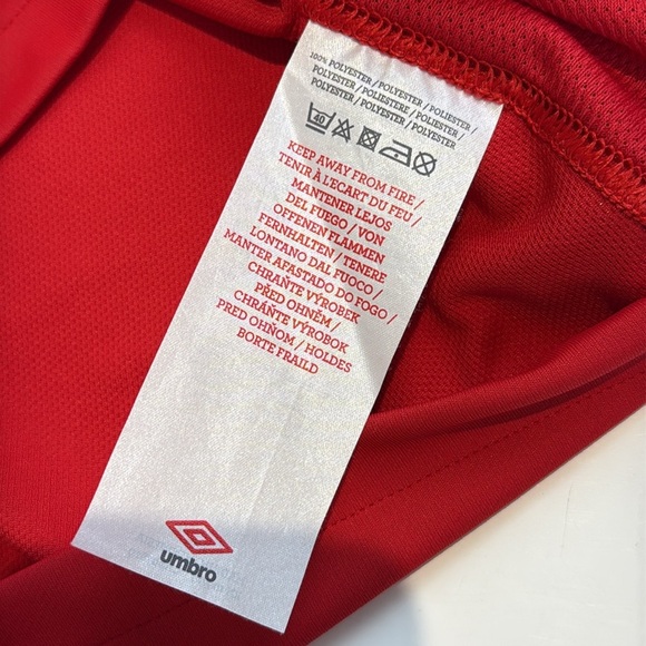 Wales 2010 - 2011 Home Jersey - Umbro Football Kit, Size Large - Picture 7 of 8